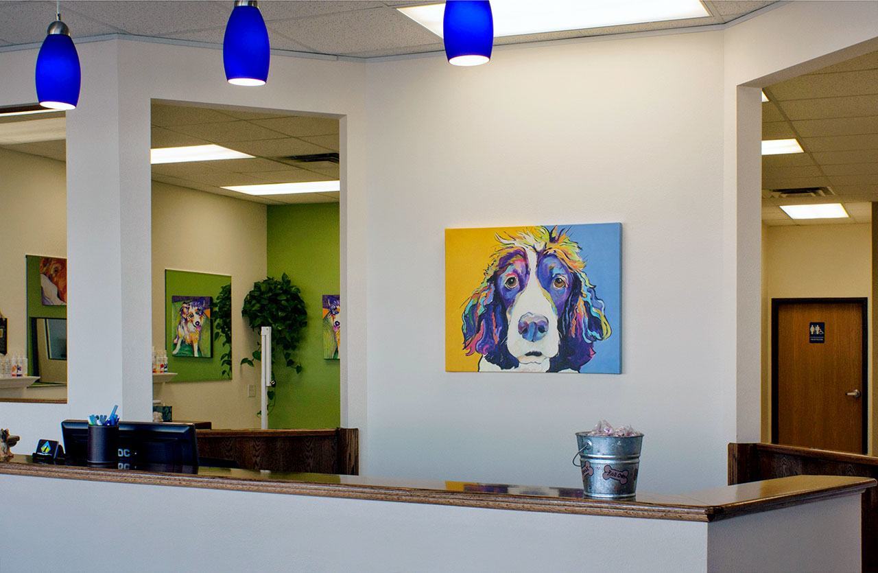 Moorhead, MN - Dog Groomer
